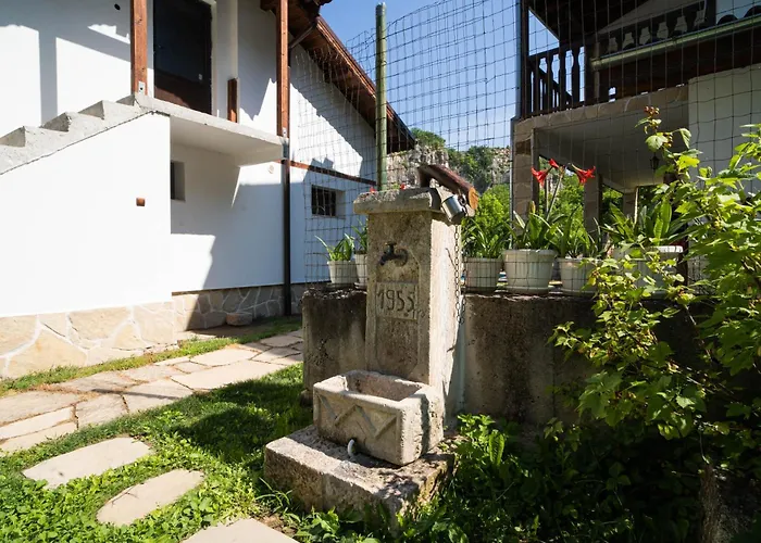 Neda's House Pensiune *